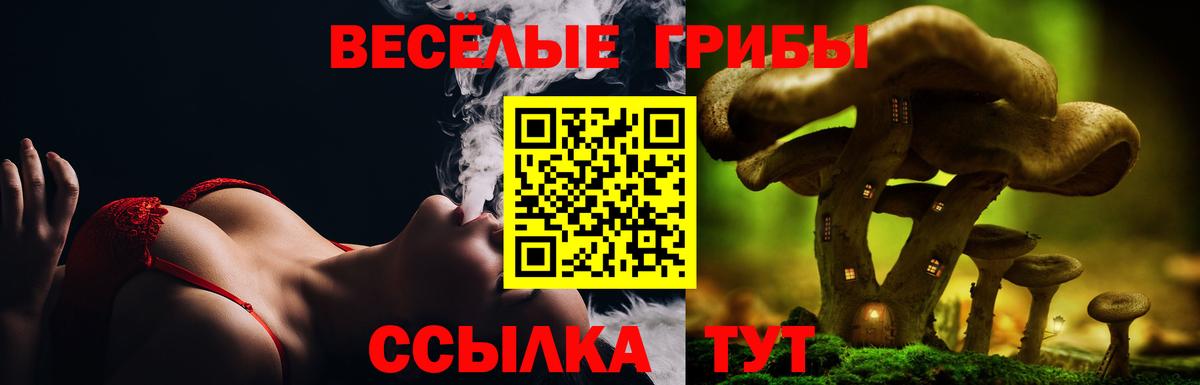 Галлюциногенные грибы GOLDEN TEACHER  Вход с VPN  Мыски  Галлюциногенные грибы MAGIC MUSHROOMS 